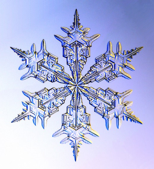 Cornell Ag Connection: The beauty of a snowflake