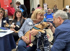 Lobby Push Aims To Propel Doggie Day Care Standards