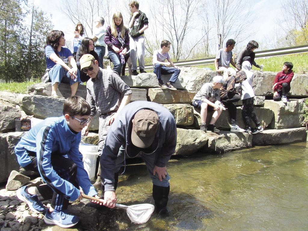 Oneonta middle schoolers release trout into creek