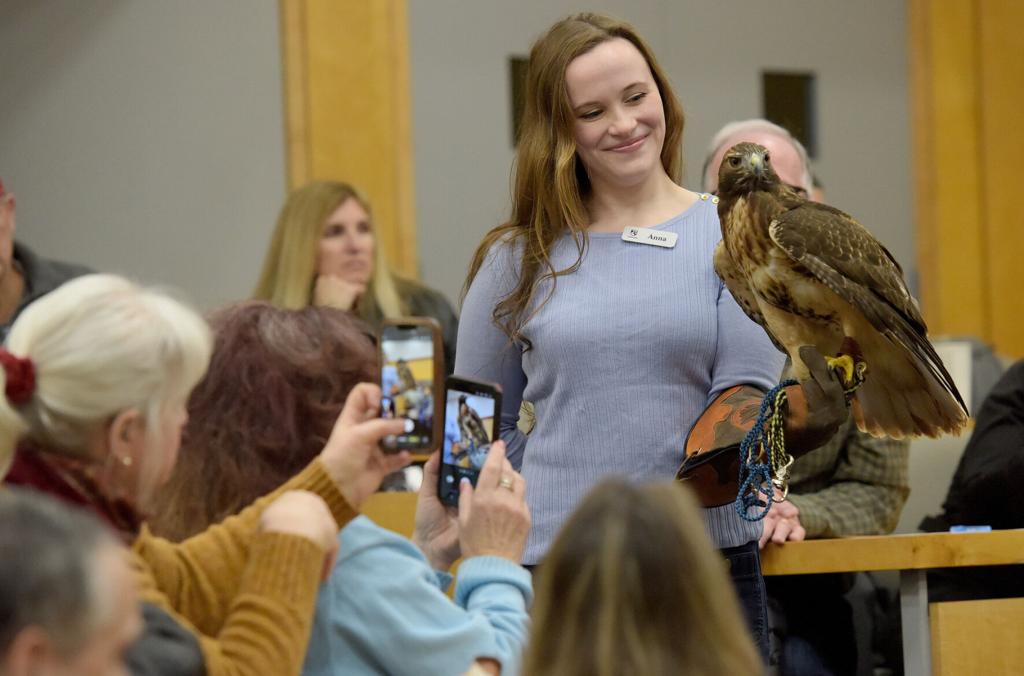 A hawk, owl and vulture take centerstage at ‘Radical Raptors’ event