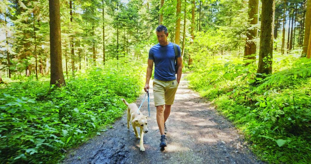 TN tapped for safer, more walkable communities