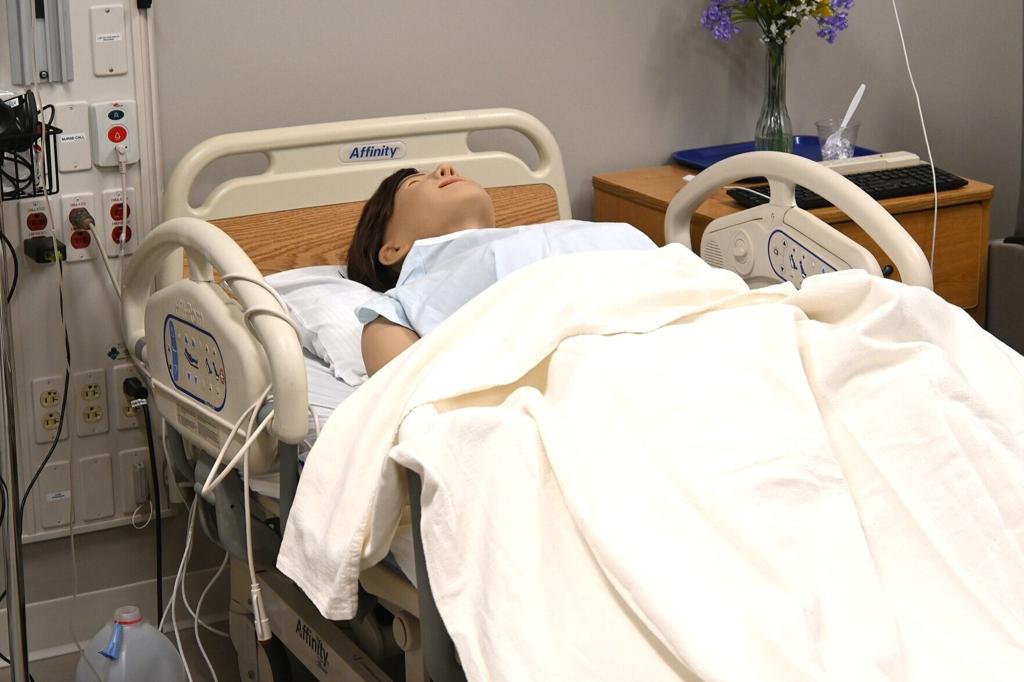 DEED grant goes to support MSU Nursing Simulation Center MANKATO — Minnesota State University’s nursing program just got its shot in the arm. In 2016,...Read full story
