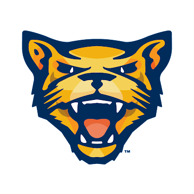Potomac State baseball falls in Region 20 title series BEL AIR — WVU Potomac State lost to Harford Community 2-0 in...